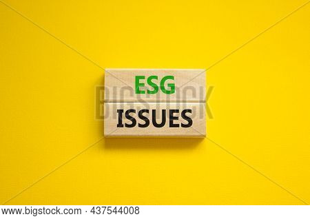 Esg Environmental Social Governance Issues Symbol. Concept Words Esg Issues On Blocks On A Beautiful