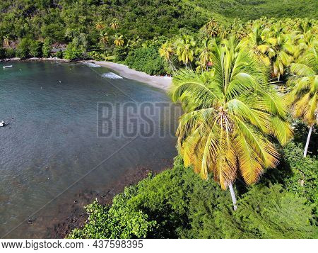 Guadeloupe Beach Drone Nature View. Beach Bay Aerial View In Marigot.