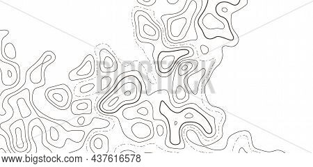 Topographic Map Abstract Background. Outline Cartography Landscape. Topographic Relief Map On White 