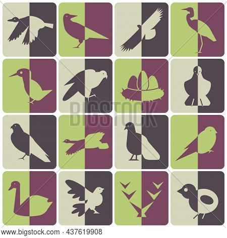 Set Of Color Icons Wild Birds With Shadows Half