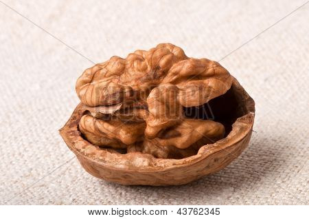 Walnüsse
