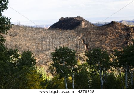 Obrażenia od ognia w Utah