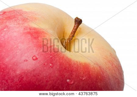 Apple auf weißem Hintergrund