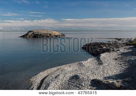 Pebble Arctic Coast