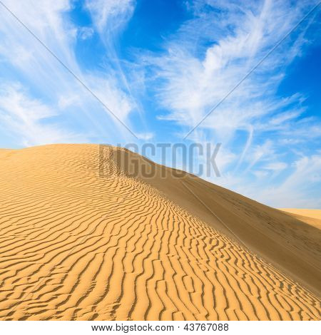Dunes or dans le grand désert indien