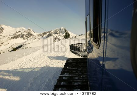 Alaska kar kedi