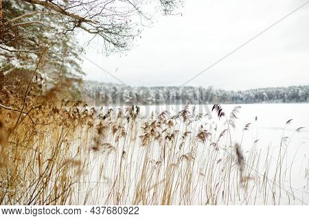 Beautiful View Of Ice Covered Balzis Lake. Snowy Pine Forests Surrounding A Small Lake. Winter Lands