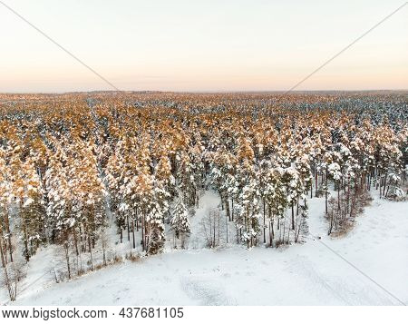 Beautiful Aerial View Of Ice Covered Balzis Lake. Snowy Pine Forests Surrounding A Small Lake. Rime