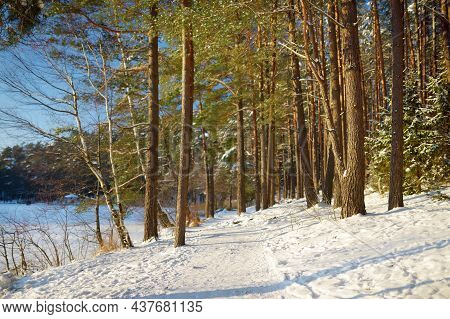 Beautiful View Of Ice Covered Balzis Lake. Snowy Pine Forests Surrounding A Small Lake. Winter Lands