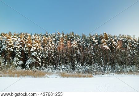 Beautiful View Of Ice Covered Balzis Lake. Snowy Pine Forests Surrounding A Small Lake. Winter Lands