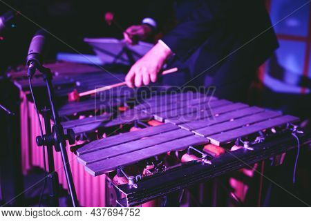 Xylophone Concert View Of Vibraphone Marimba Player, Mallets Drum Sticks, With A Latin Orchestra Mus
