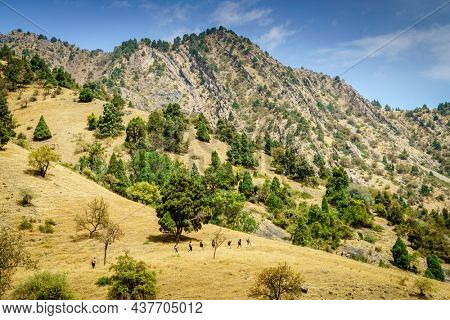 A group of tourists on a trail in Shirkent National Park in Tajikistan