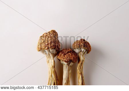 Micro-dosing Concept. Dry Psilocybin Mushrooms On White Background. Psychedelic, Mind-blowing, Magic