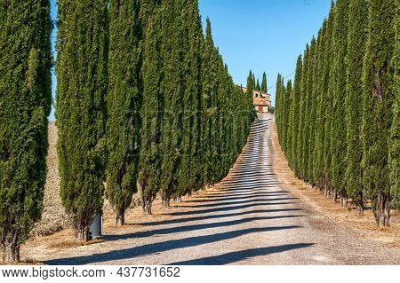 Bagno Vignoni, Tuscany, Italy. August 2020. The Amazing Landscape Of The Avenue With The Cypresses O