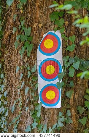 Blowgun Triple Vertical Target Face At Tree In Woods