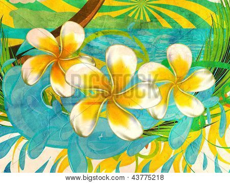 Grunge Plumeria bloemen