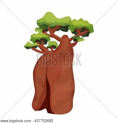 Baobab Tree Or Monkey Bread Tree African In Cartoon Style Isolated On White Background. Savannah Jun