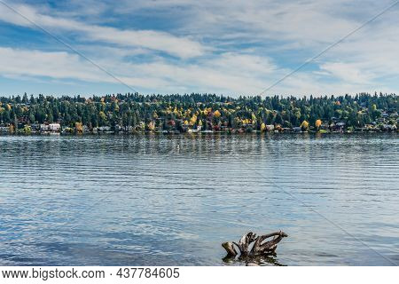 Home And Fall Colore On Mercer Island, Washington.
