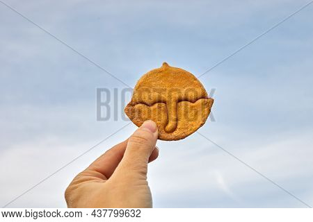 Korean Dalgona Honeycomb Sugar Cookie With Umbrella Shape To Play New Trend Candy Challenge
