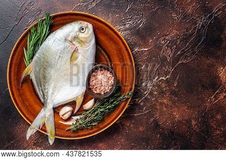 Fresh Raw Florida Pompano Fish On A Rustic Plate. Dark Background. Top View. Copy Space