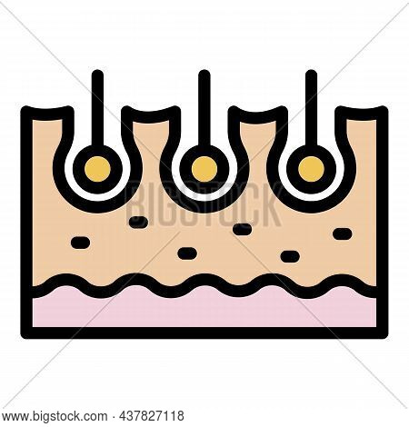 Cutted Skin Hair Icon. Outline Cutted Skin Hair Vector Icon Color Flat Isolated