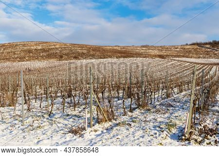 Winter landscape near Popice, Southern Moravia, Czech Republic