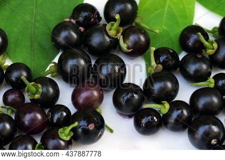 Ripe Fruits And Leaves Of Black Nightshade (solanum Nigrum) Or Blackberry Nightshade On White Backgr