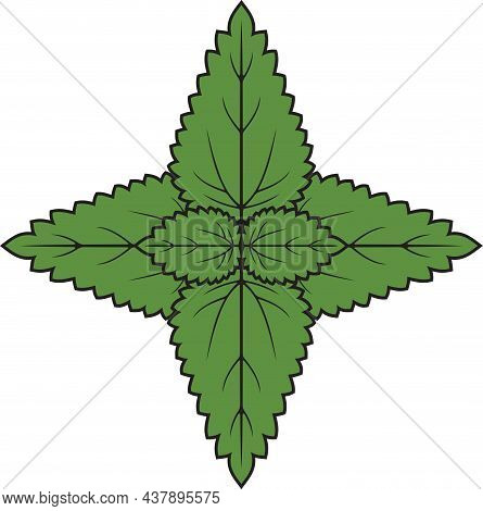 Nettle Plant Icon. Color Vector Illustration (design).