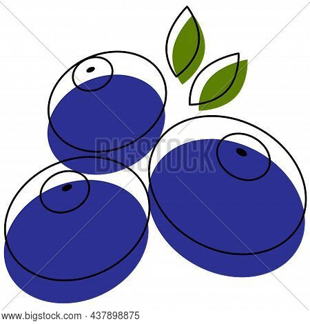 Blueberry Line Vector. Isolate On White Background.