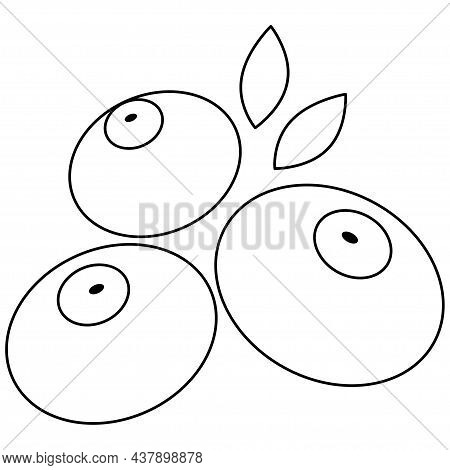 Blueberry Line Vector. Isolate On White Background.