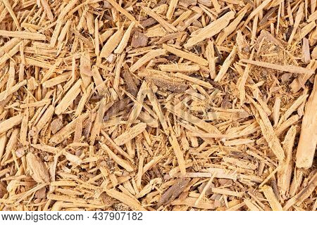 Muira Puama Herbal Tea Background. Natural Potency Wood, Medicinal Plant, Dry Tea. Ptychopetalum Ola