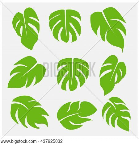 Collection Leaf Icon Set Illustration, Eco, Green, Natural Set On White Background.