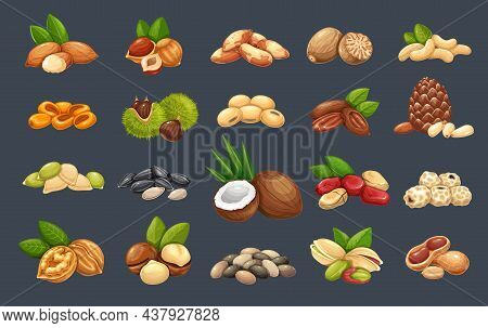 Nuts, Seeds And Grains Icons Set. Macadamia, Almond, Corn Nuts, Nutmeg, Cashew, Coconut, Chestnuts O