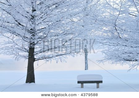 Frosted arbres et banc de parc