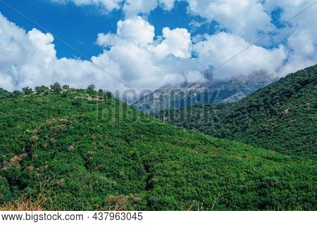 Summer Landscape - Mountains, Covered With Green Trees Andwhite Clouds On  Blue Sky.
