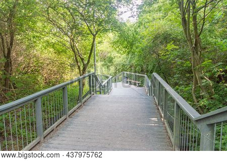 Stairs Between Green Trees To Baltic Sea.