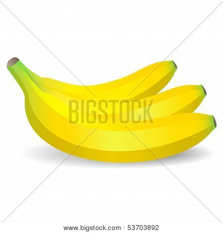 Vector Isolated  Bananas On White Background
