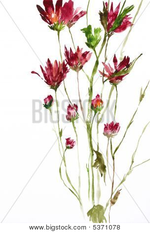 Acquerello di fiori