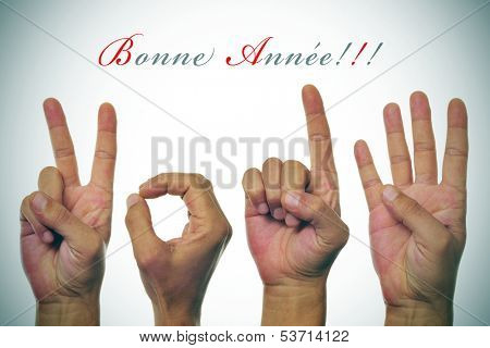sentence bonne annee, happy new year written in french, and hands forming number 2014
