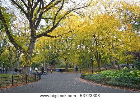 Autumn Stroll