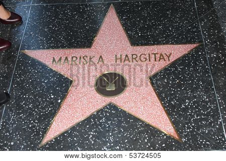 LOS ANGELES - NOV 8:  Mariska Hargitay Star at the Mariska Hargitay Hollywood Walk of Fame Star Ceremony at Hollywood Blvd on November 8, 2013 in Los Angeles, CA\