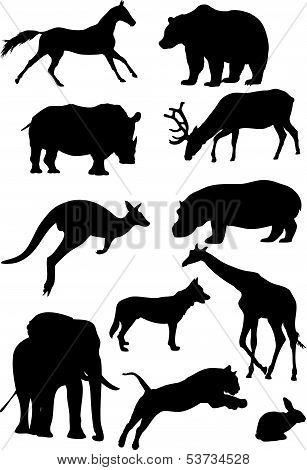 Silhouettes of mammal