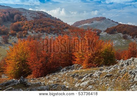 The Mehedinti Mountains