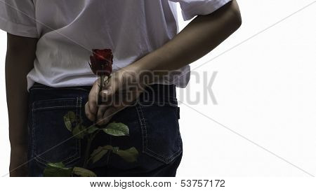 Surprise By Giving Rose On Valentine Day