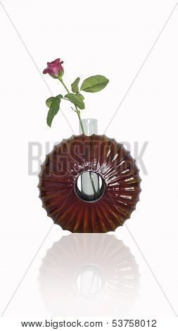 Rose In Glossy Mango Wood Painting Vase Isolated On The White Background.