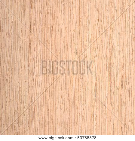 Texture Of Oak, Wooden Background
