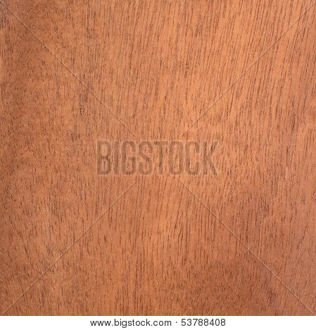 Wood Texture, Tree Background