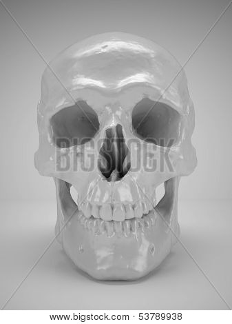 Skull