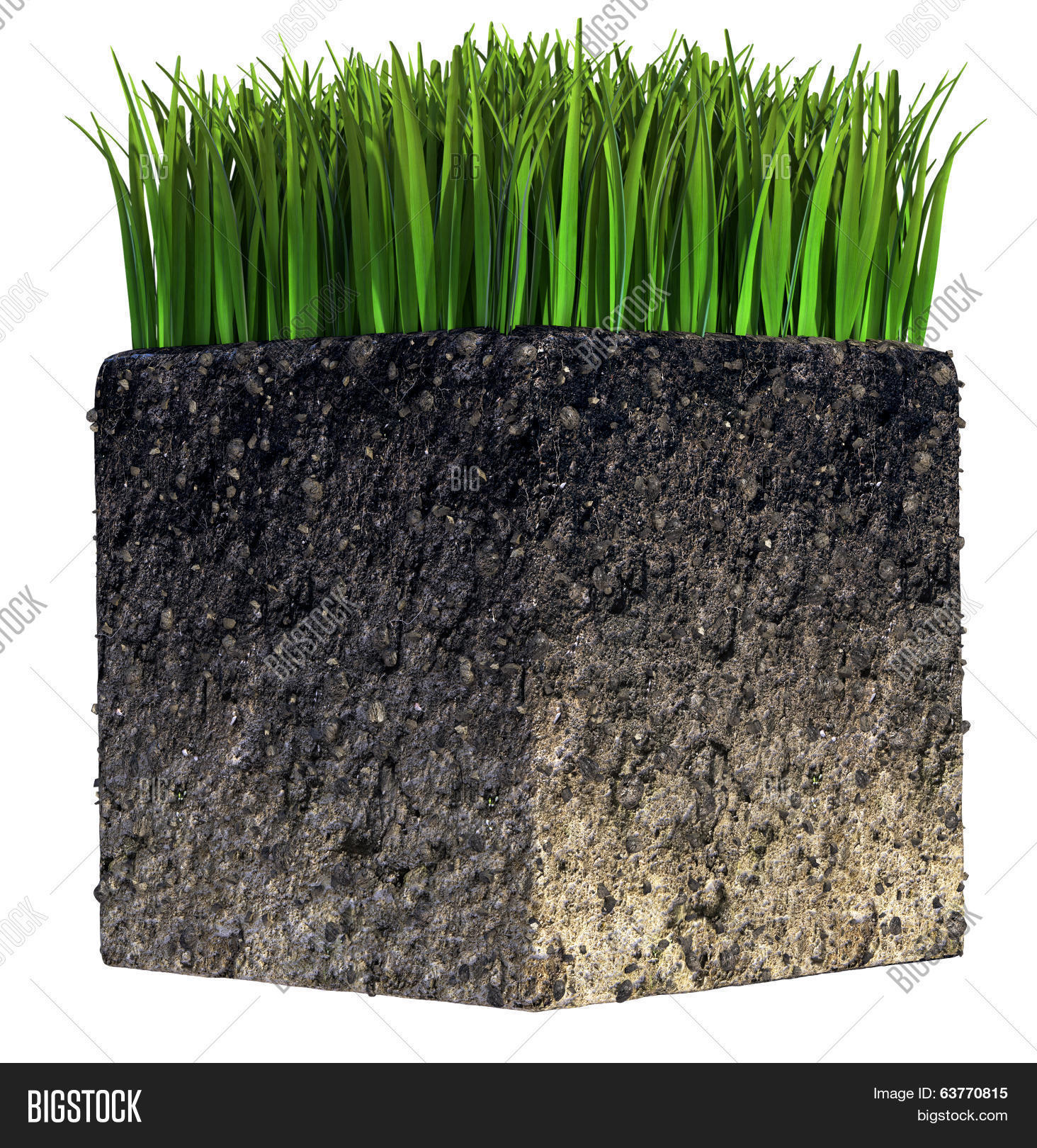 Grass Soil Image & Photo (Free Trial) Bigstock