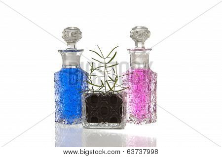 Blue Pink Glass Bottles Plant